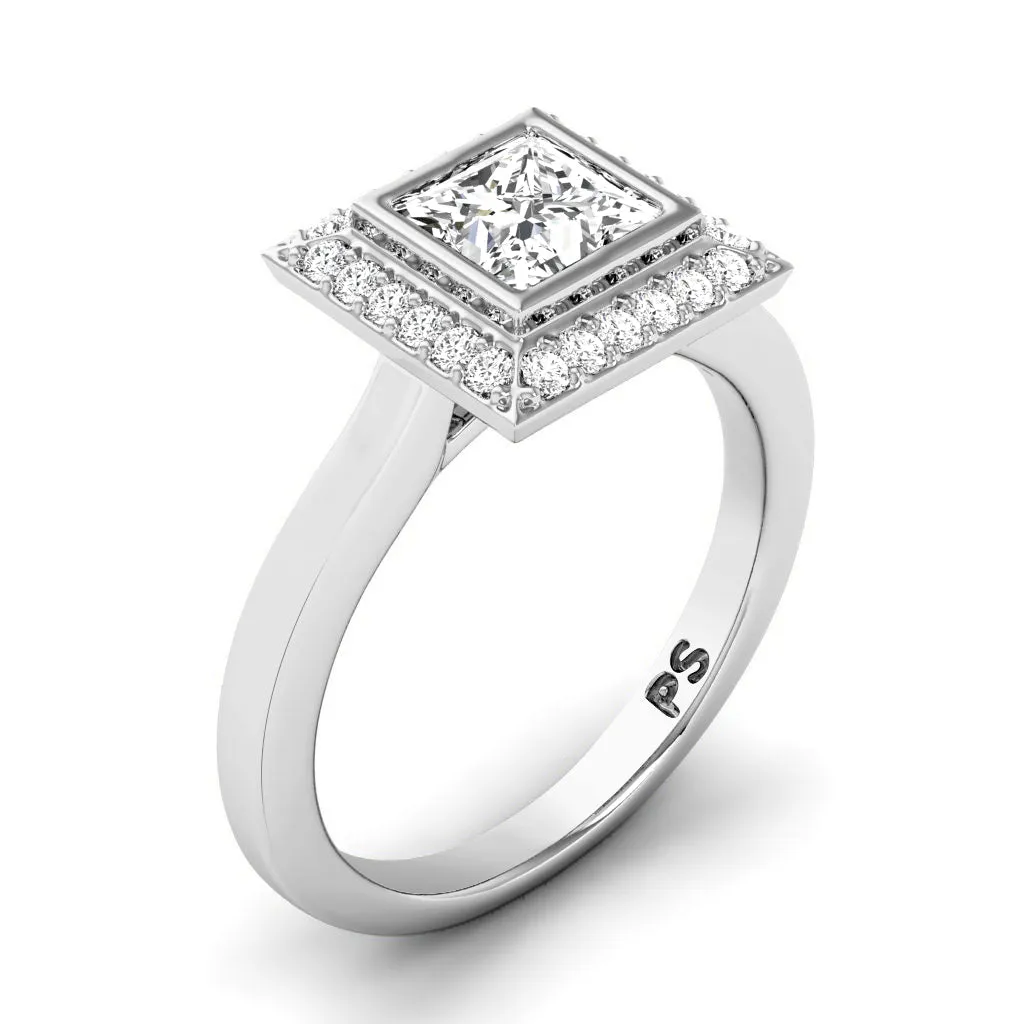 0.49-1.64 CT Round & Princess Cut Diamonds - Engagement Ring