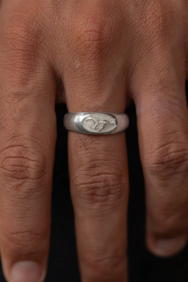 Stallion Ring