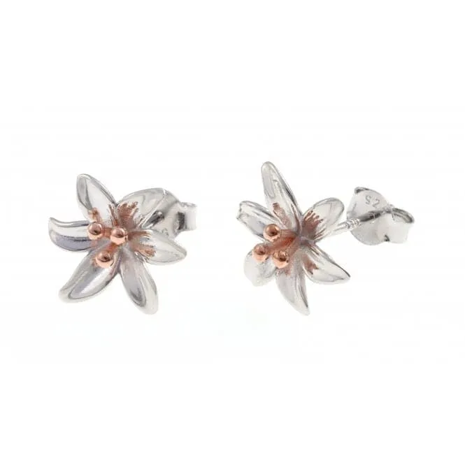 Sterling Silver Rose Gold Plated Lily Stud Earrings ERLE012